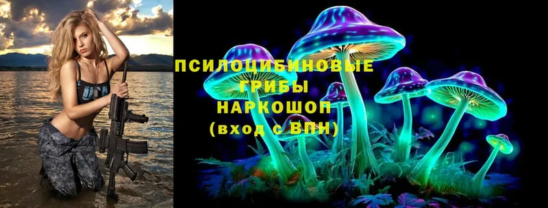 Псилоцибиновые грибы ЛСД  магазин продажи   Боготол 